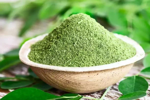 moringa powder for weight loss