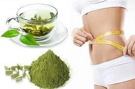 How to use moringa powder for weight loss