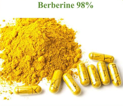 Εκχύλισμα ρίζας Berberine