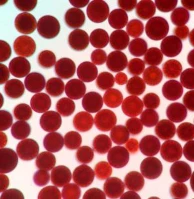 Τι είναι φυσικό Astaxanthin;