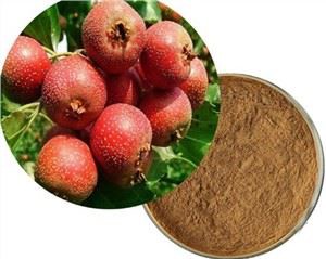 Εκχύλισμα Χόθορν