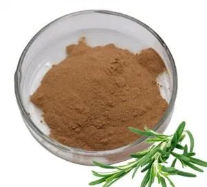 Το καλύτερο ροσμαρινικό οξύ