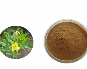 Εκχύλισμα νυχτολούλουδου