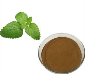 Εκχύλισμα βάλσαμου λεμονιού