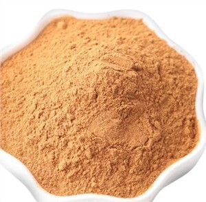 Εκχύλισμα ριζώματος Coleus Forskohlii