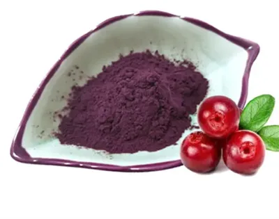 Εκχύλισμα Cranberry Προανθοκυανιδίνες